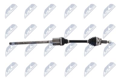 PLANETARA NTY NPWJG010 7