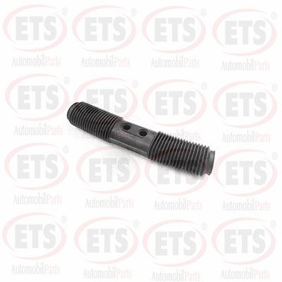 маншон, полуоска ETS 19.SK.299