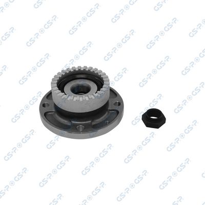 SET RULMENT ROATA GSP 9225037K