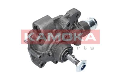 Water Pump, engine cooling T0166