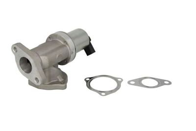 EGR Valve ENT500120