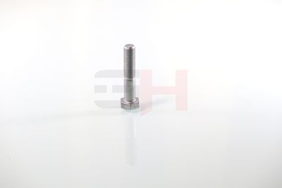 SURUB CAPAT DE AX GH GH392360 35