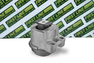 окачване, двигател FIRST LINE FEM4368