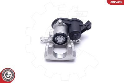 Brake Caliper 55SKV753