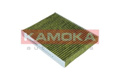 Filter, cabin air 6080014