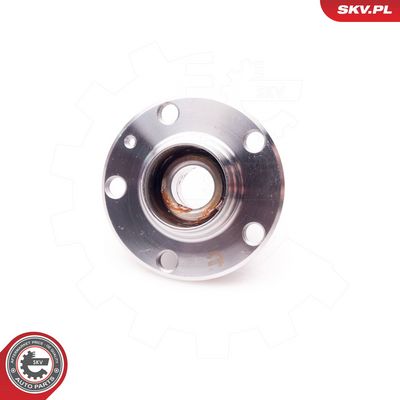 SET RULMENT ROATA ESEN SKV 29SKV004 1