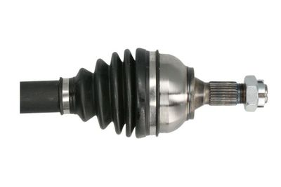 Drivaxel PASCAL G2C166PC för CITROËN