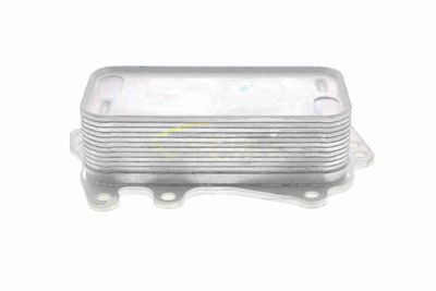 ÖLKüHLER MOTORöL VEMO V20600041 2