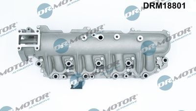 Saugrohrmodul Dr.Motor Automotive DRM18801