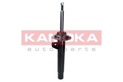 Shock Absorber 2000416