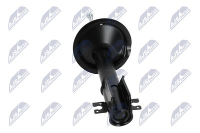 AMORTIZOR NTY ACT009 15