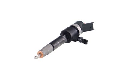 INJECTOR REMANTE 002003001695R 61