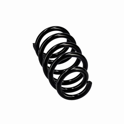 ARC SPIRAL EIBACH R10603 12