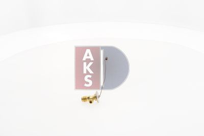 EXPANSIONSVENTIL KLIMAANLAGE AKS DASIS 840007N 4