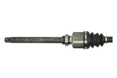 Drivaxel PASCAL G2C117PC för CITROËN
