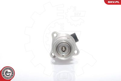 EGR Valve 14SKV021