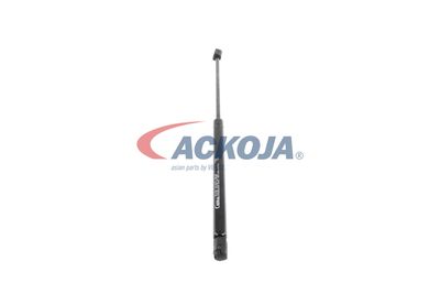 AMORTIZOR PORTBAGAJ ACKOJA A380126 49