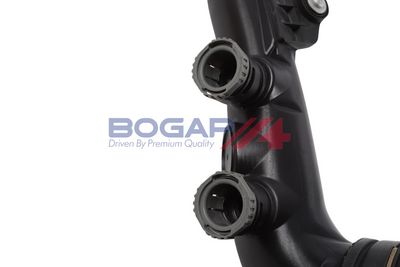 FURTUN EAR SUPRAALIMENTARE BOGAP B1711225 2