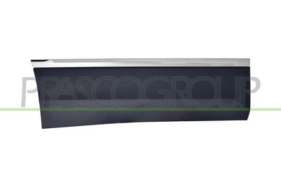 ELEMENTE DECORATIVE/PROTECTIE PORTIERA