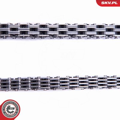 CHIT LANT DE DISTRIBUTIE ESEN SKV 21SKV232 2