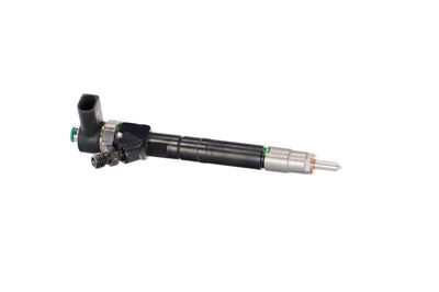 INJECTOR REMANTE 002003002295R 46