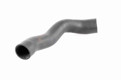 FURTUN EAR SUPRAALIMENTARE ACKOJA A379600 8