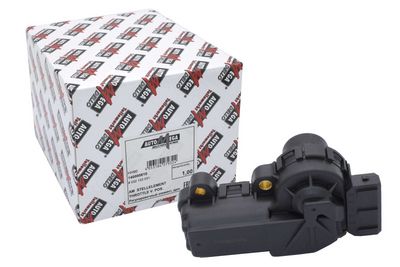 CONTROL CLAPETA ACCELERATIE