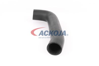 FURTUN EAR SUPRAALIMENTARE ACKOJA A379602 23