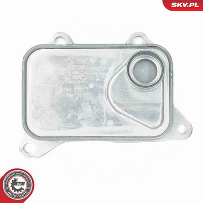 RADIATOR ULEI ULEI MOTOR ESEN SKV 31SKV214 4