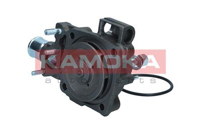 Water Pump, engine cooling T0165