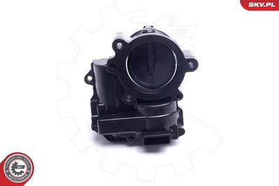 Throttle Body 12SKV112