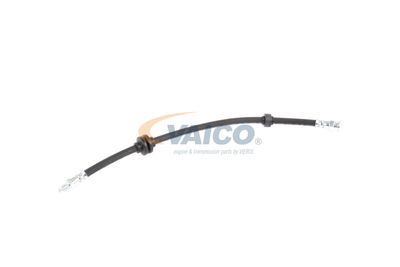 FURTUN FRANA VAICO V240328 47