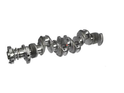 ARBORE COTIT ET ENGINETEAM HK0211 16