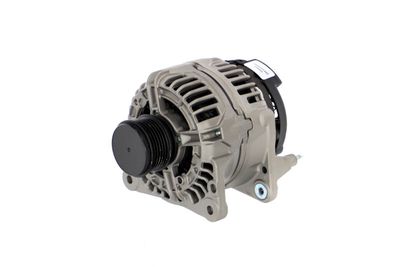 GENERATOR / ALTERNATOR REMANTE 011003000481R 6