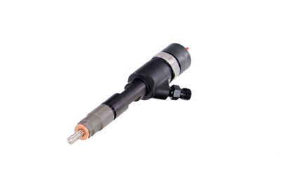 INJECTOR REMANTE 002003001168R 62