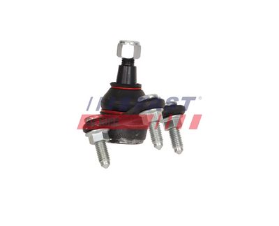 ARTICULATIE PARGHIE COT