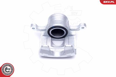 Brake Caliper 46SKV222