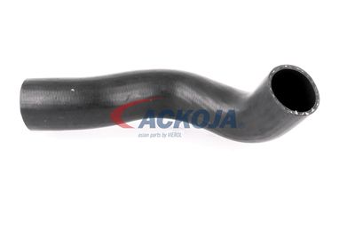 FURTUN EAR SUPRAALIMENTARE ACKOJA A380307 13
