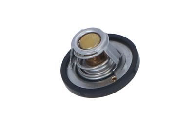 TERMOSTAT LICHID RACIRE NRF 725187 2