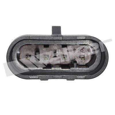 LAMBDASONDE WALKER PRODUCTS 35034808 2
