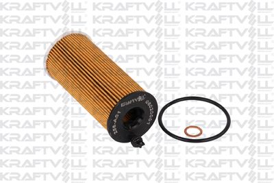 Масляный фильтр KRAFTVOLL GERMANY 06020001 для BMW X6