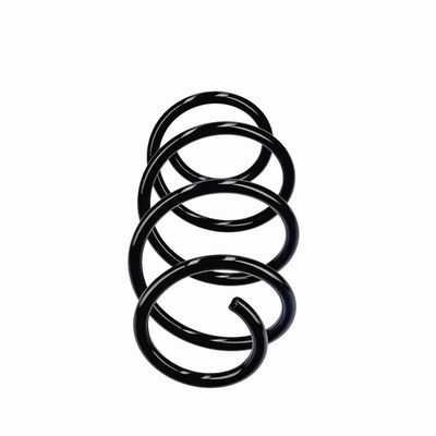 ARC SPIRAL EIBACH R19441 13