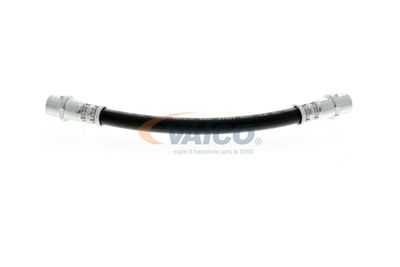 FURTUN FRANA VAICO V104136 35