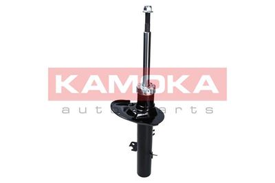 Shock Absorber 2000142