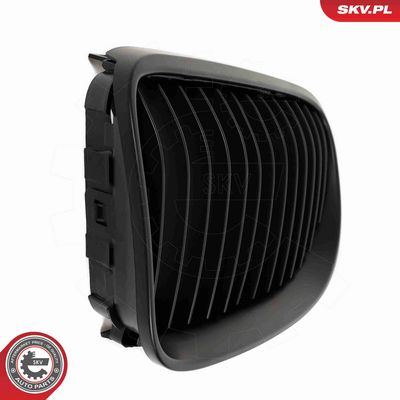 GRILA RADIATOR ESEN SKV 66SKV113 9