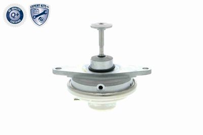 SUPAPA EGR VEMO V406300241 2