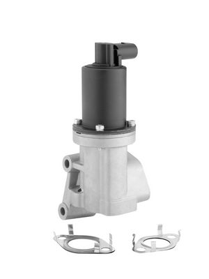 SUPAPA EGR BorgWarner 712005R 1
