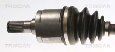 PLANETARA TRISCAN 854043524 1