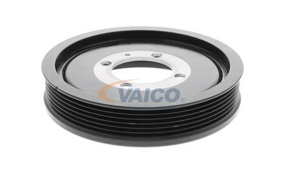 FULIE CUREA ARBORE COTIT VAICO V401178 21