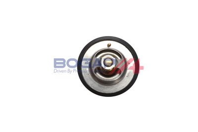 TERMOSTAT LICHID RACIRE BOGAP Y4245103 1